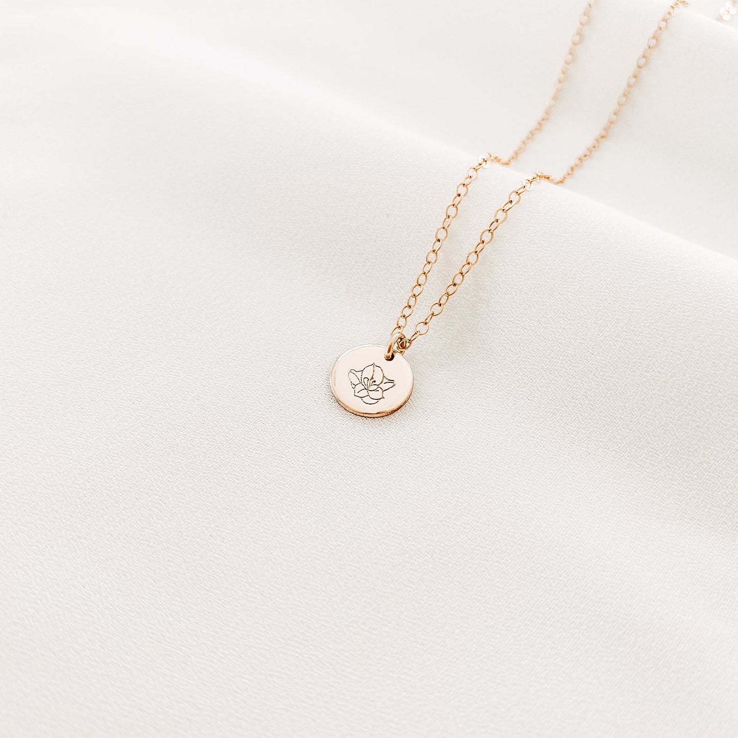 Gladiolus • Strength • August Birth Flower